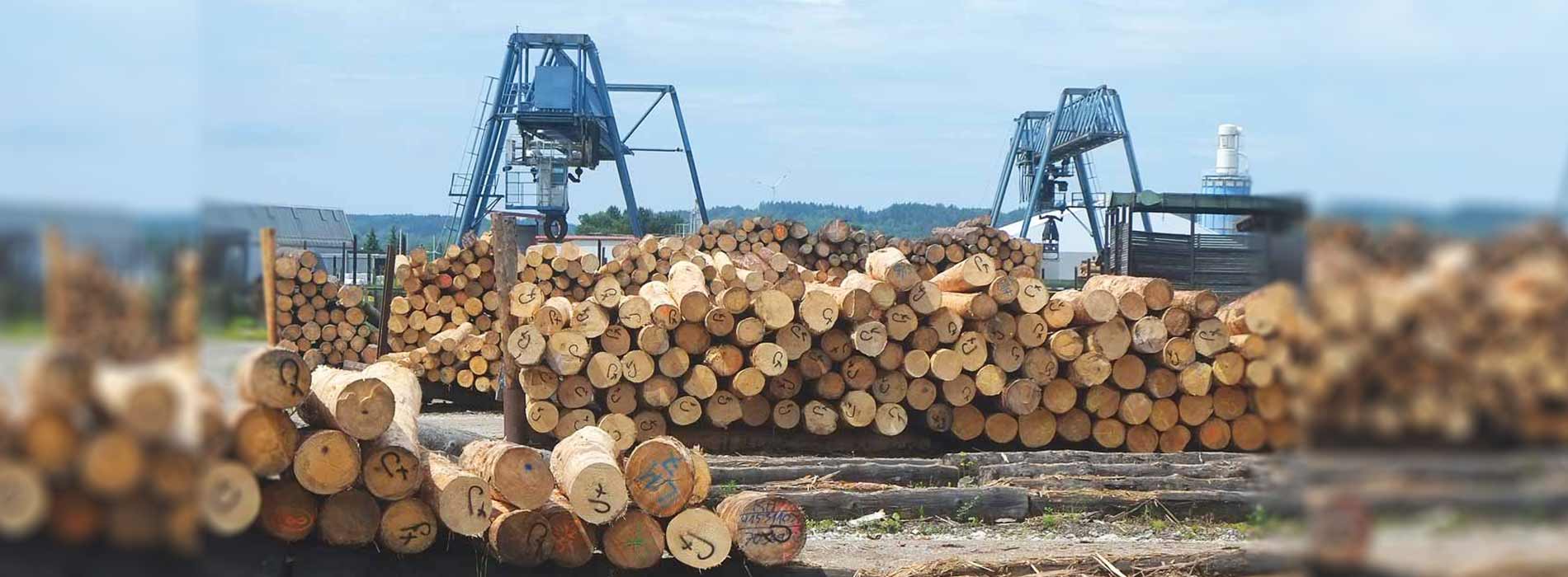Holzbearbeitung nachhaltige Waldwirtschaft Dorr-Biomassehof